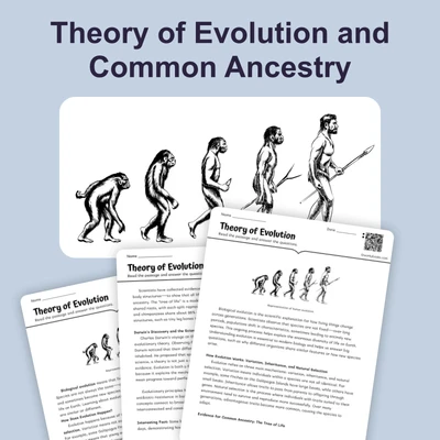 Theory of Evolution  - reading educational content