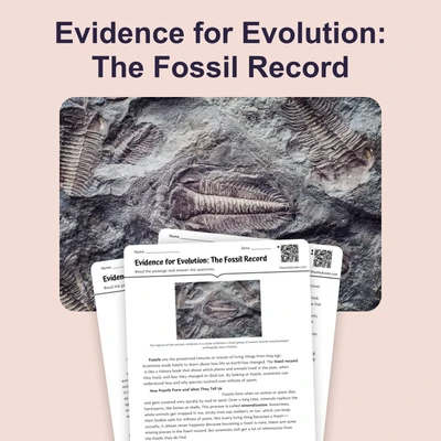 Evidence for Evolution: The Fossil Record - reading educational content