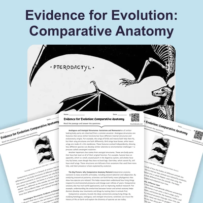 Evidence for Evolution: Comparative Anatomy - reading educational content