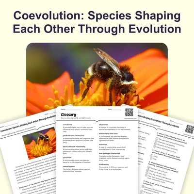 Coevolution - reading educational content