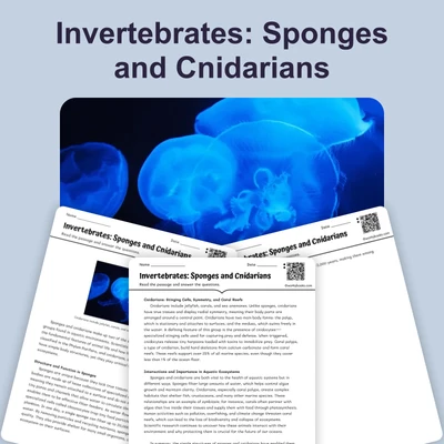 Invertebrates: Sponges and Cnidarians - reading educational content