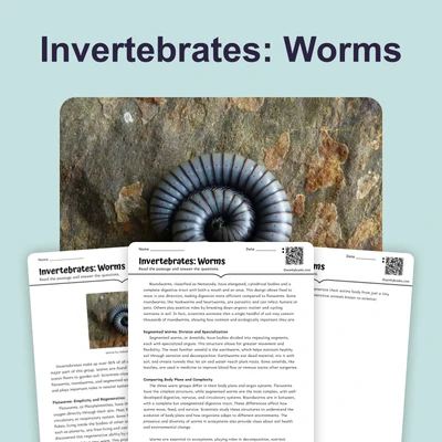Invertebrates: Worms - reading educational content