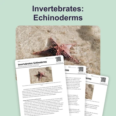 Invertebrates: Echinoderms - reading educational content
