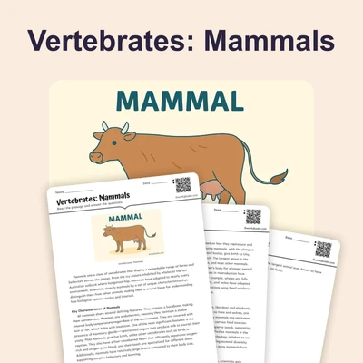 Vertebrates: Mammals - reading educational content