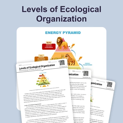 Levels of Ecological Organization - reading educational content