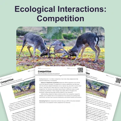 Competition - reading educational content