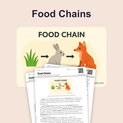 Food Chains - reading educational content