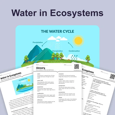 Water in Ecosystems - reading educational content