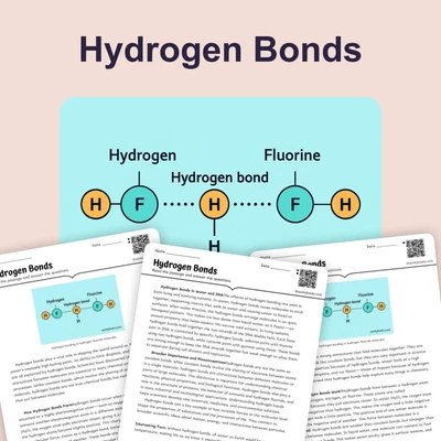 Hydrogen Bonds - reading educational content