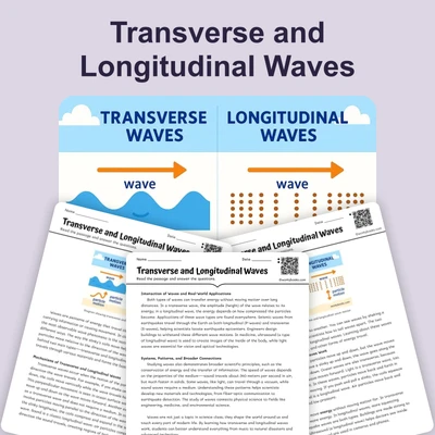 Transverse and Longitudinal Waves - reading educational content