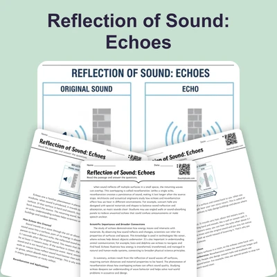 Reflection of Sound: Echoes - reading educational content