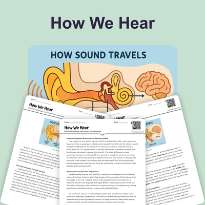 How We Hear - reading educational content