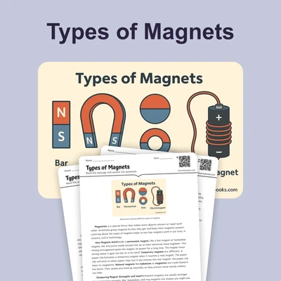 Types of Magnets - reading educational content
