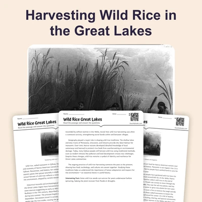 Wild Rice of the Great Lakes - reading educational content