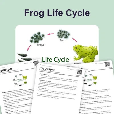 The Life Cycle of a Frog - reading educational content