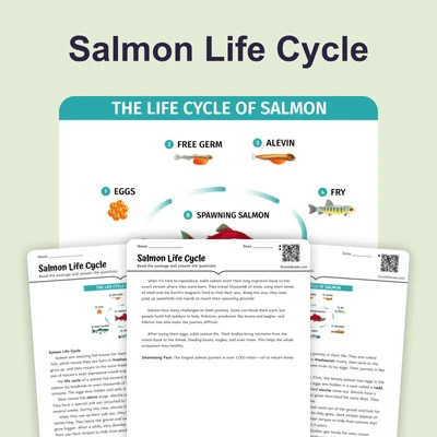 The Life Cycle of a Salmon - reading educational content