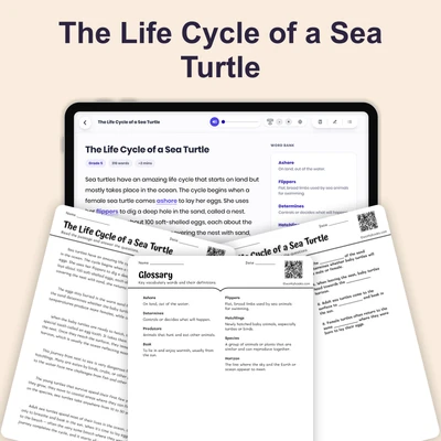 The Life Cycle of a Sea Turtle - reading educational content