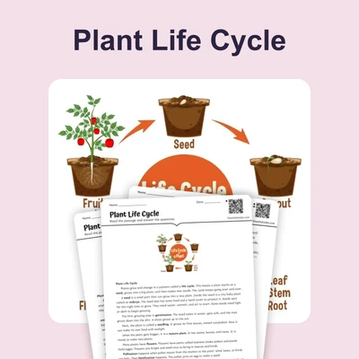 The Life Cycle of a Plant - reading educational content