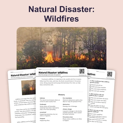 Natural Disaster: Wildfires - reading educational content