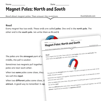 Magnet Poles: North and South - worksheet educational content