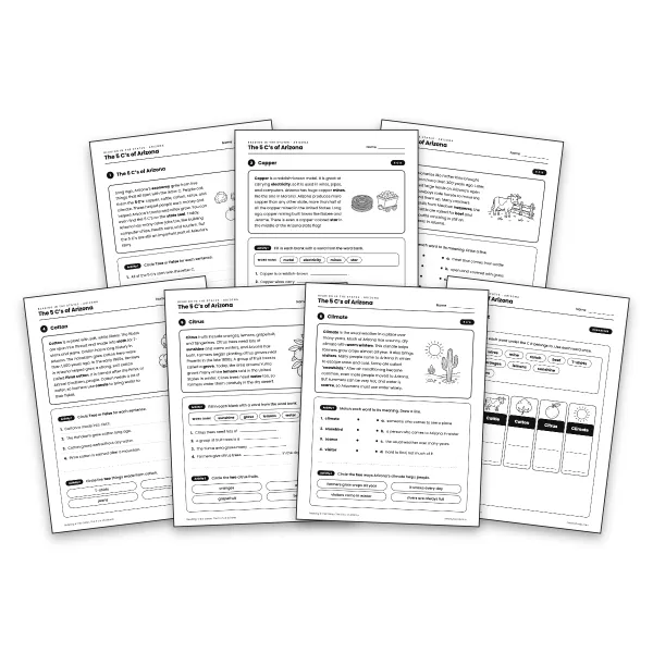 The 5 C's of Arizona worksheet for grade 3