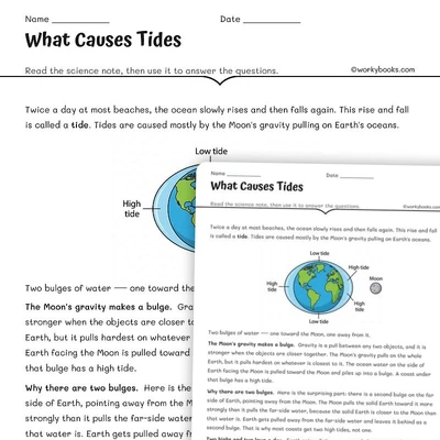 What Causes Tides - worksheet educational content