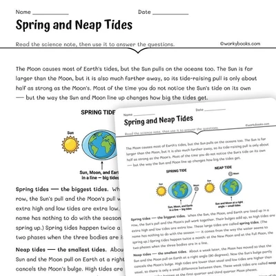 Spring and Neap Tides - worksheet educational content