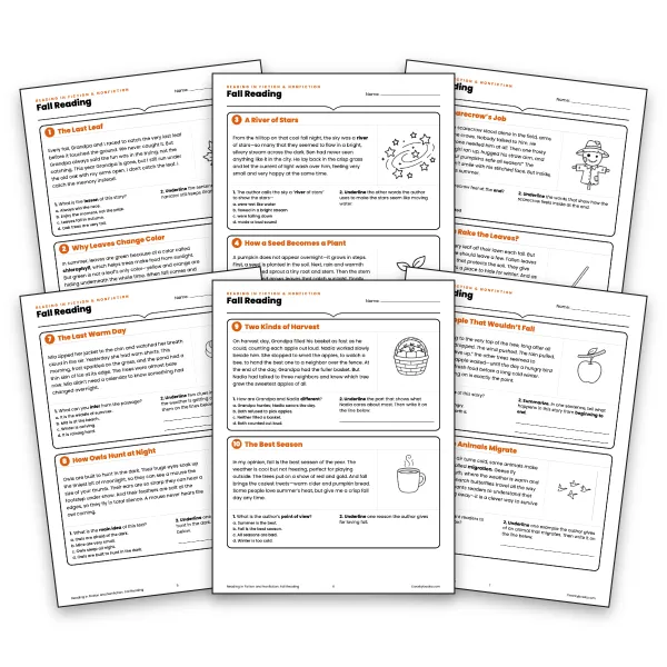 Fall Reading Comprehension Task Cards  - worksheet educational content