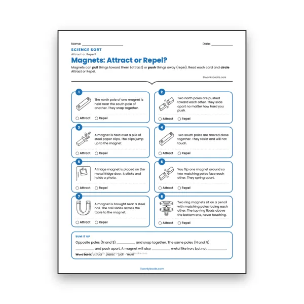 Magnets: Attract or Repel? - worksheet educational content