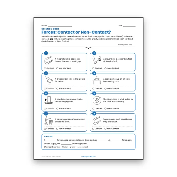 Forces: Contact or Non-Contact? - worksheet educational content