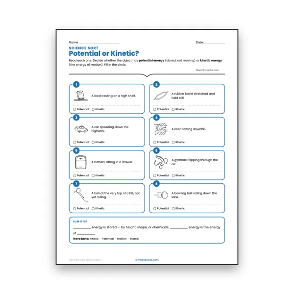Potential or Kinetic? - worksheet educational content