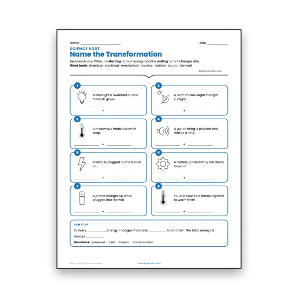 Name the Transformation - worksheet educational content