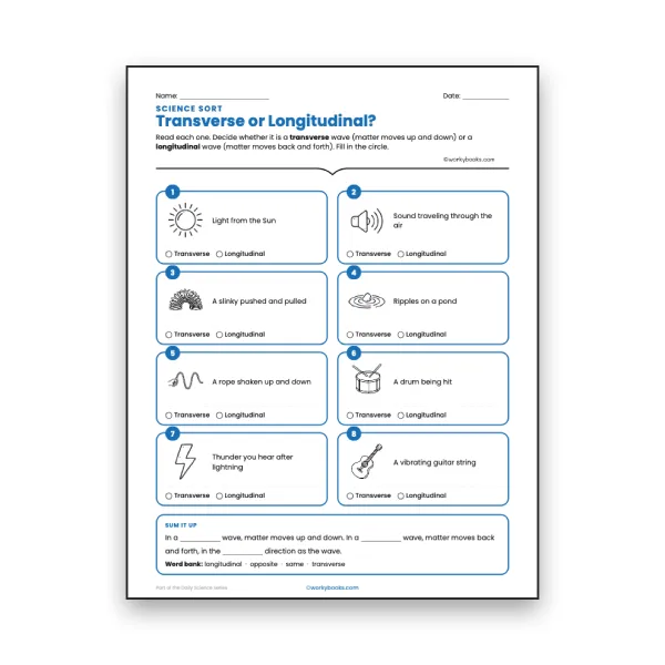Transverse or Longitudinal? - worksheet educational content