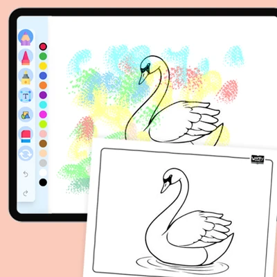 Swan Swimming in Water - coloring educational content