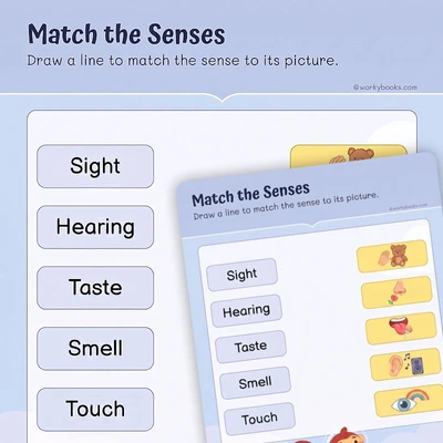 Match the Senses - worksheet educational content
