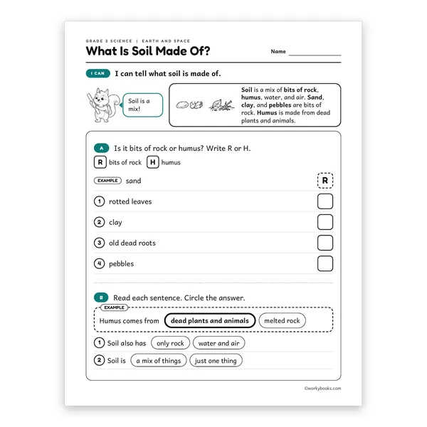3rd Grade What Is Soil Made Of? worksheet for grade 3
