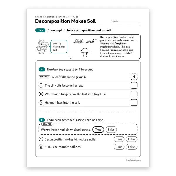 3rd Grade Decomposition Makes Soil worksheet for grade 3