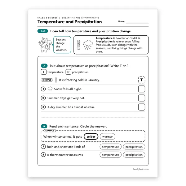 3rd Grade Temperature and Precipitation worksheet for grade 3
