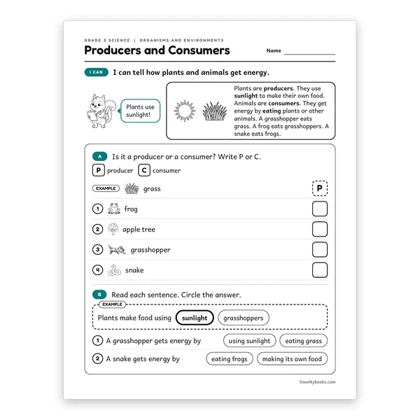 3rd Grade Producers and Consumers worksheet for grade 3