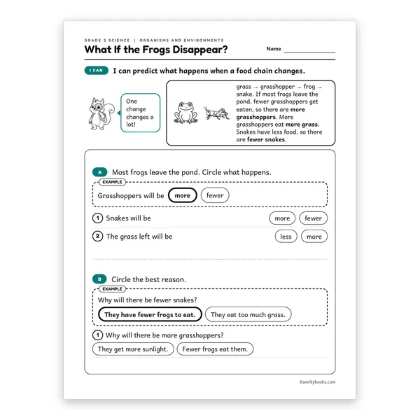 3rd Grade What If the Frogs Disappear? worksheet for grade 3