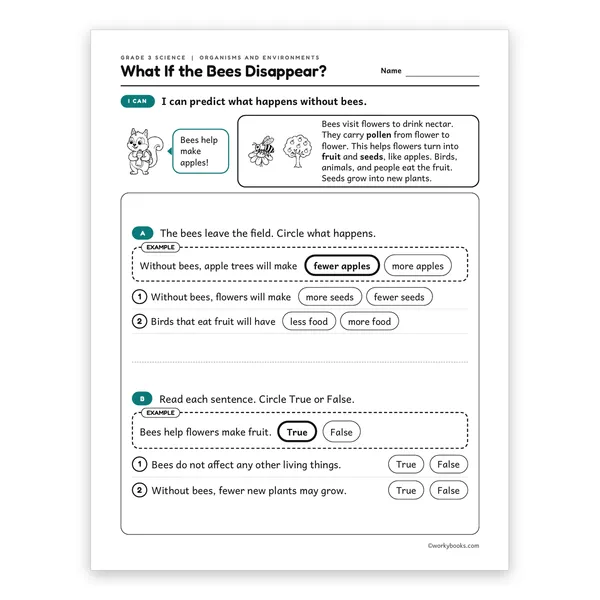 3rd Grade What If the Bees Disappear? worksheet for grade 3