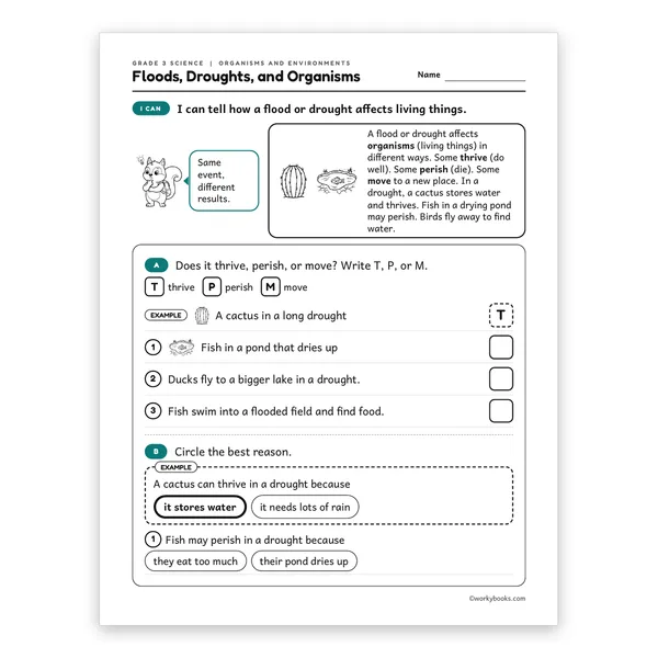 3rd Grade Floods, Droughts, and Organisms worksheet for grade 3