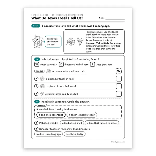3rd Grade What Do Texas Fossils Tell Us? worksheet for grade 3