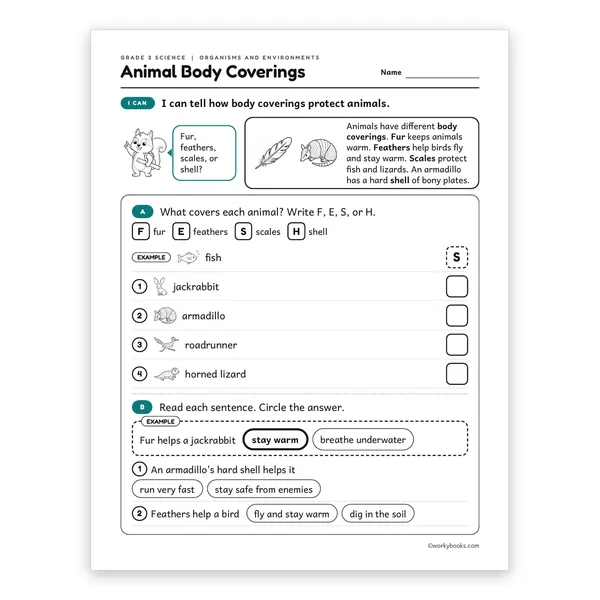 3rd Grade Animal Body Coverings worksheet for grade 3