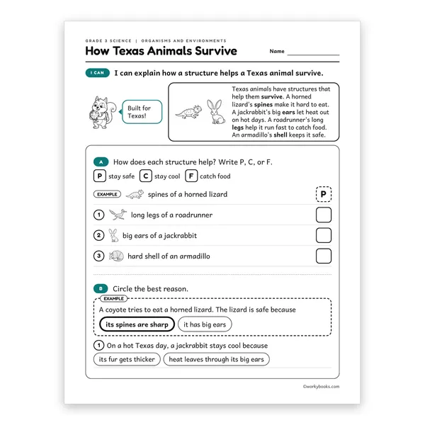 3rd Grade How Texas Animals Survive worksheet for grade 3