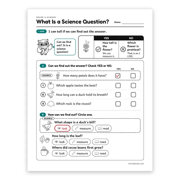 What Is a Science Question? worksheet for grade 3