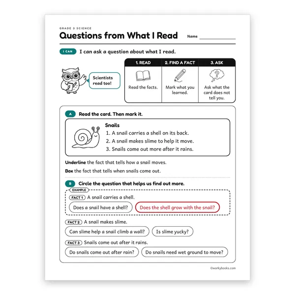 Questions from What I Read worksheet for grade 3