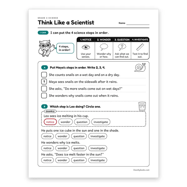 Think Like a Scientist worksheet for grade 3
