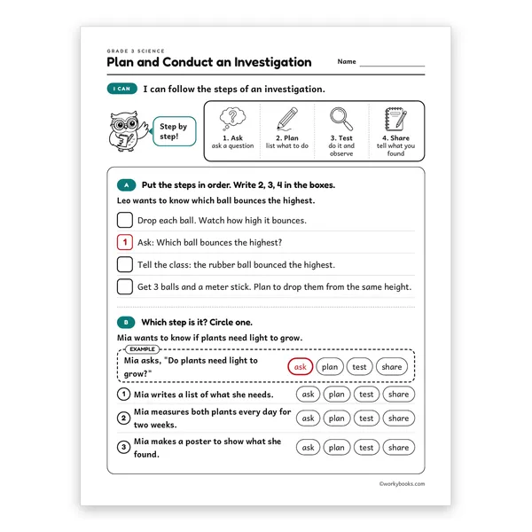 Plan and Conduct an Investigation worksheet for grade 3