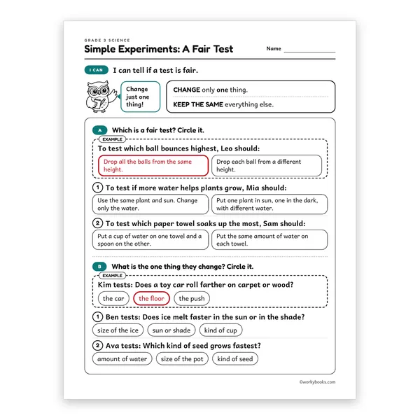 Simple Experiments: A Fair Test worksheet for grade 3